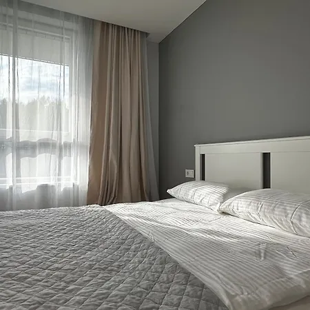 Apartment Lazdyneliu Vingis 